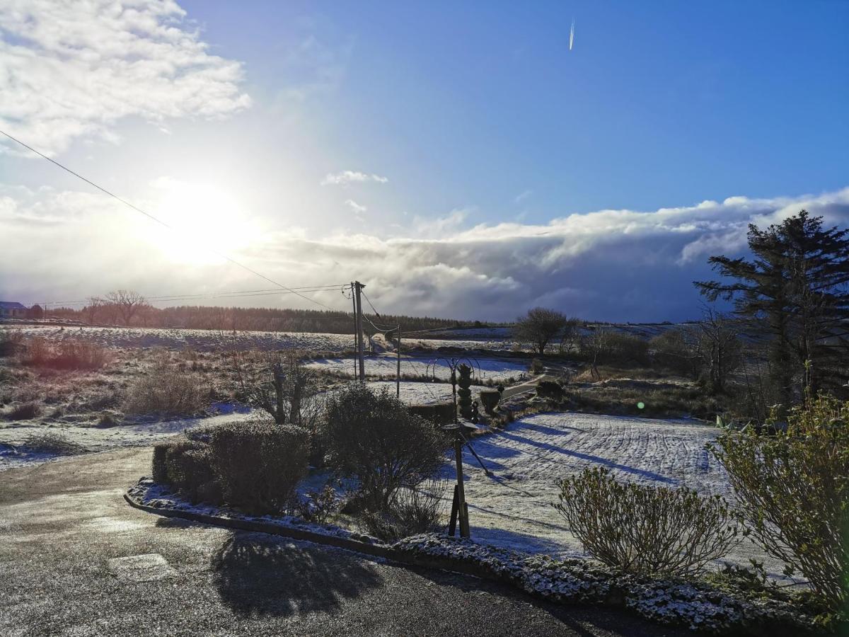 New Listing - Ladybird Cottage - Donegal - Wild Atlantic Way Donegal Town Екстер'єр фото