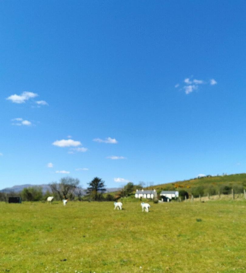 New Listing - Ladybird Cottage - Donegal - Wild Atlantic Way Donegal Town Екстер'єр фото