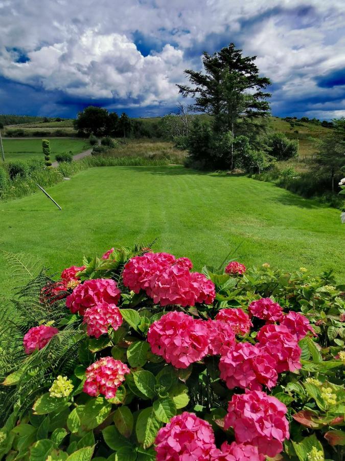 New Listing - Ladybird Cottage - Donegal - Wild Atlantic Way Donegal Town Екстер'єр фото