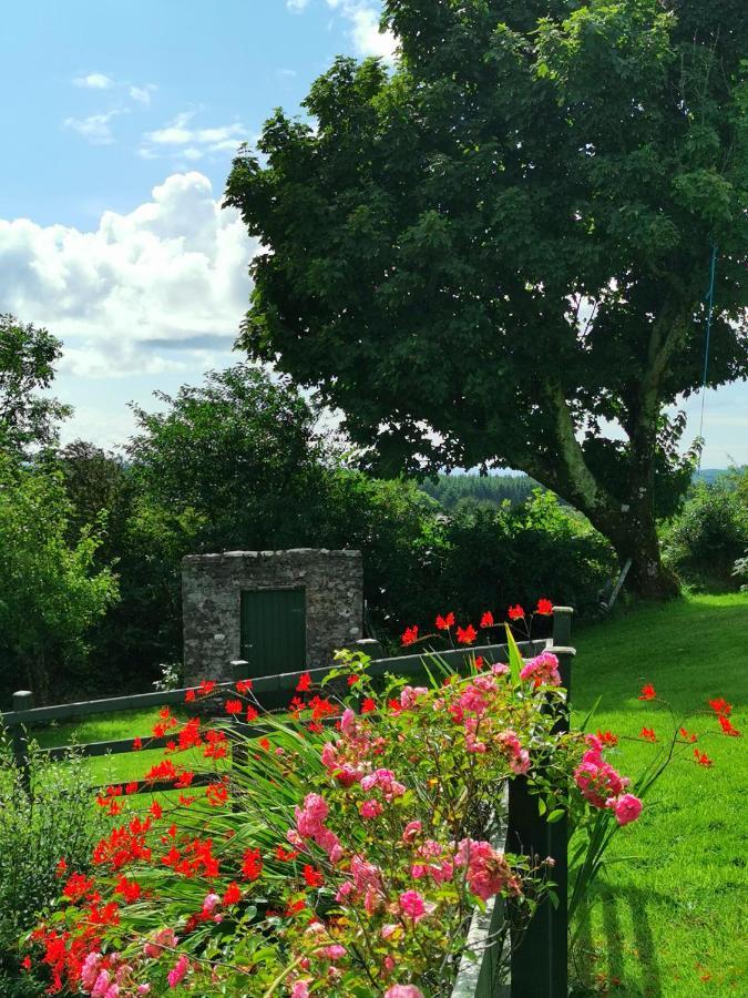 New Listing - Ladybird Cottage - Donegal - Wild Atlantic Way Donegal Town Екстер'єр фото