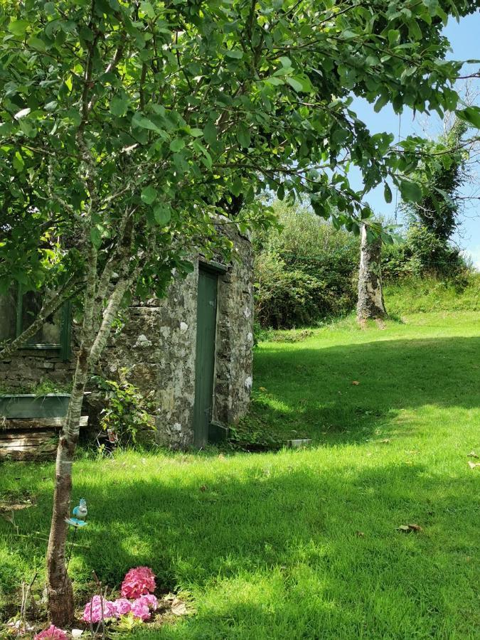 New Listing - Ladybird Cottage - Donegal - Wild Atlantic Way Donegal Town Екстер'єр фото