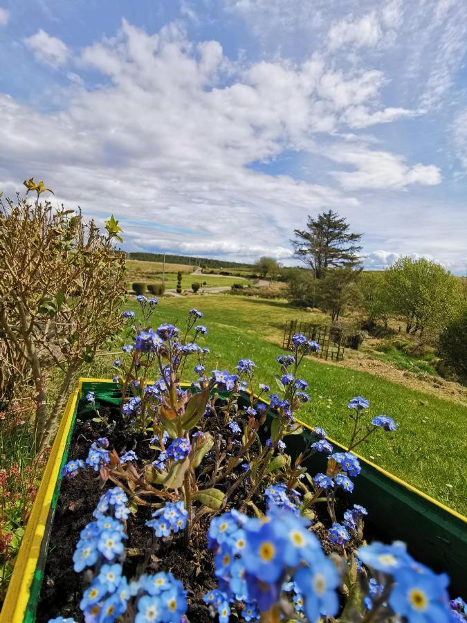 New Listing - Ladybird Cottage - Donegal - Wild Atlantic Way Donegal Town Екстер'єр фото