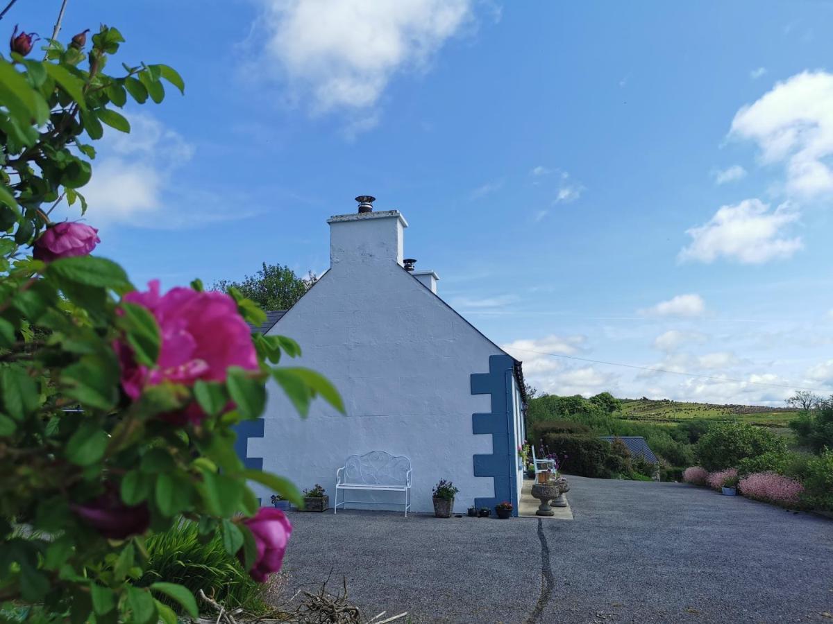 New Listing - Ladybird Cottage - Donegal - Wild Atlantic Way Donegal Town Екстер'єр фото