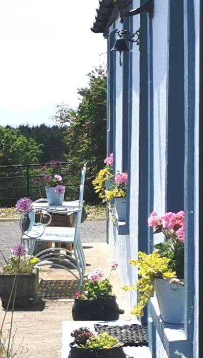 New Listing - Ladybird Cottage - Donegal - Wild Atlantic Way Donegal Town Екстер'єр фото