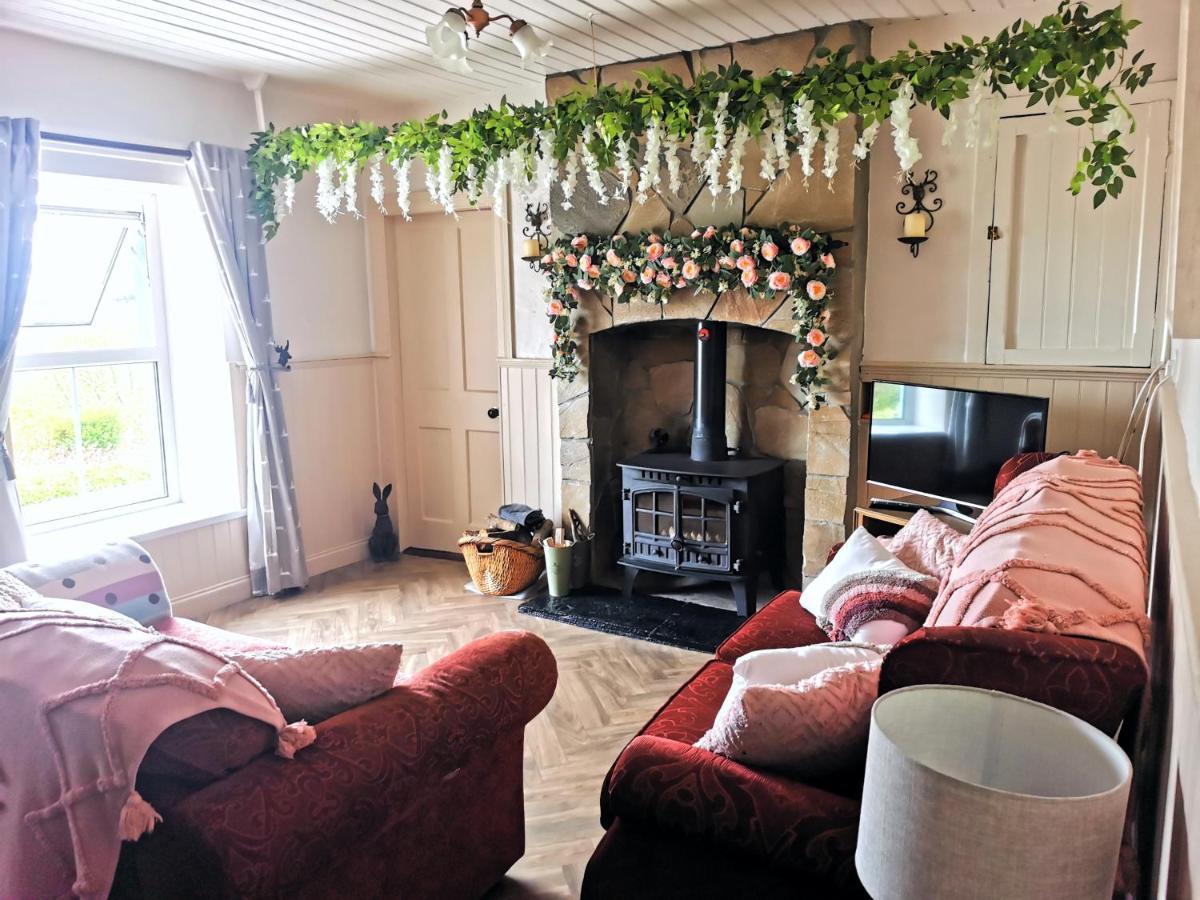 New Listing - Ladybird Cottage - Donegal - Wild Atlantic Way Donegal Town Екстер'єр фото